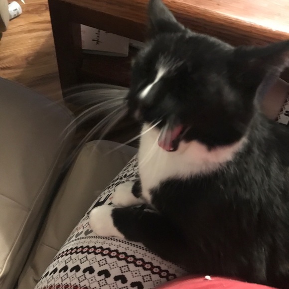 Meet your Posher, Nicole - Picture 1 of 1